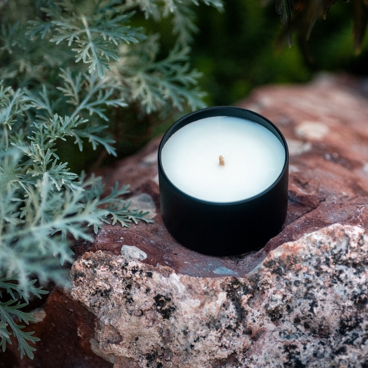 Organic candle in a black cylindrical container on a rock with greenery