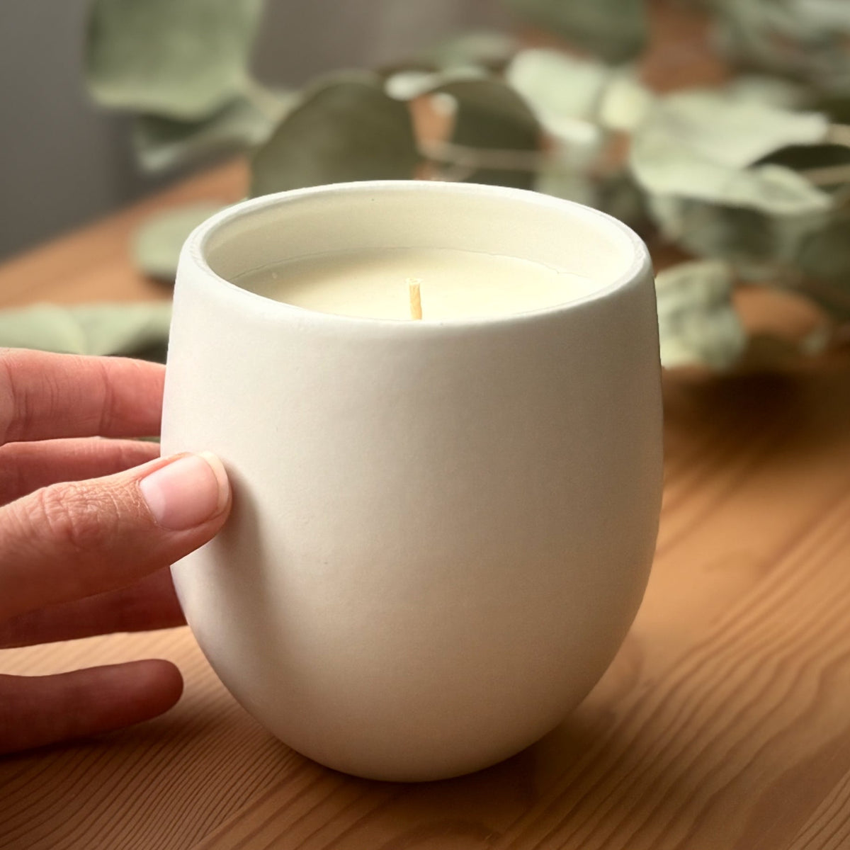 White organic candle in a ceramic container, held by a hand on a wooden surface with green leaves in the background. Brand 'The Organic Candle Co.