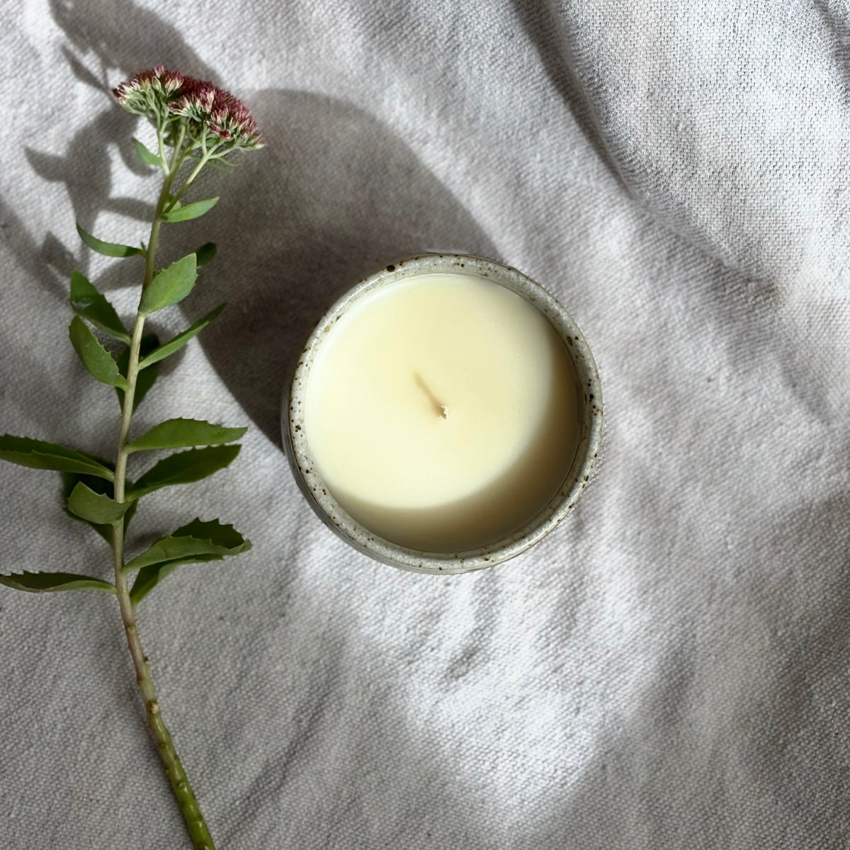 A small organic ceramic candle in a speckled light beige handmade cup, styled on a textured light gray fabric next to a green herb stem with small pinkish flowers.